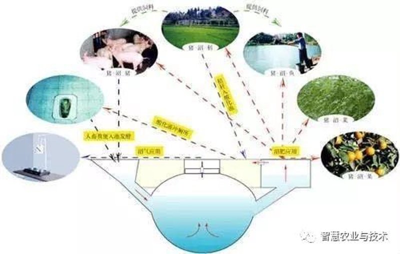 生态农业种植：绿色生活的时代风尚
