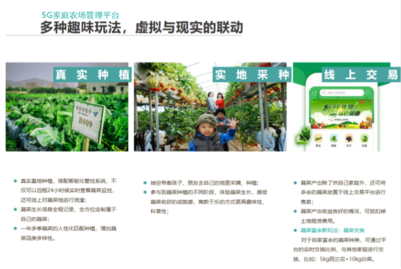 绿色农产品直供：打造餐桌的纯净绿洲