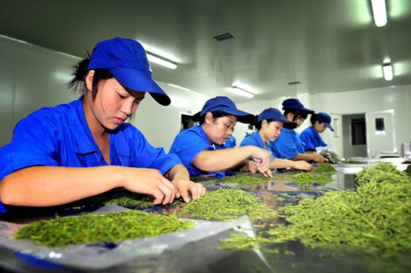 宜城生态农业：引领绿色革命的浪潮